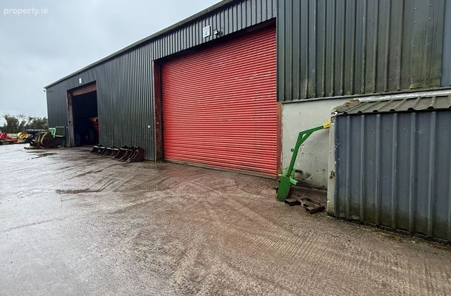 Ballygillaheen, Rosenallis, Co. Laois - Click to view photos