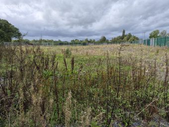 Castle-erkin, Pallasgreen, Co. Limerick - Image 2