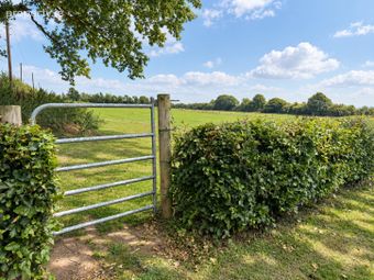 Deerpark, Mountrath, Portlaoise, Co. Laois, Mountrath, Co. Laois - Image 5