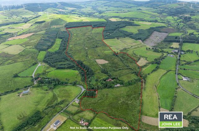 Ballydough, Milestone, Thurles, Co. Tipperary, Hollyford, Co. Tipperary - Click to view photos