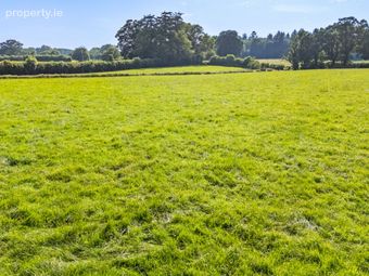 Lot 2 - North Land At Lisnavagh, Lisnavagh, Co Carlow, R93 K162, Rathvilly, Co. Carlow - Image 4
