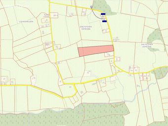 Dalystown Demesne, Leitrim, Loughrea, Co. Galway, Loughrea, Co. Galway - Image 3