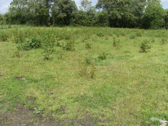 Monamonra, Errill, Co. Laois