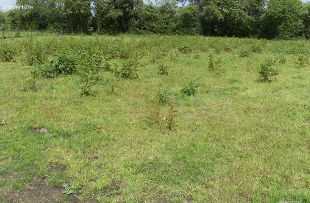Monamonra, Errill, Co. Laois - Click to view photos