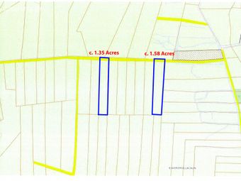 C. 2.93 Acres Of Boglands, Eskeromullacaun, Glenamaddy, Co. Galway, Glenamaddy, Co. Galway - Image 3