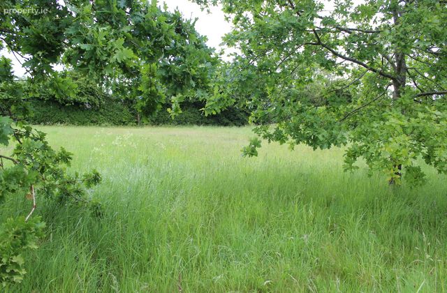 0.75 Acre Site Slyguff, Slyguff, Bagenalstown, Co. Carlow, Bagenalstown, Co. Carlow - Click to view photos