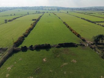 C. 7 Acres, Killiaghan &amp; Gort, Lecarrow, Co. Roscommon, Lecarrow, Co. Roscommon - Image 2