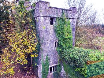 Woodlawn, New Inn, Ballinasloe, Co. Galway - Image 4