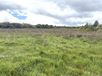 Parknakyle, Oldleighlin, Co. Carlow - Image 5