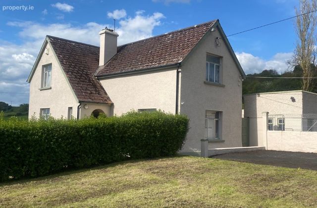 Grange, Kilmallock, Grange, Co. Limerick - Click to view photos