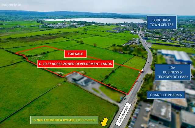 Dublin Road, Loughrea, Co. Galway - Click to view photos