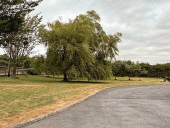 Belville, Freshford, Clonmantagh, Co. Kilkenny - Image 5