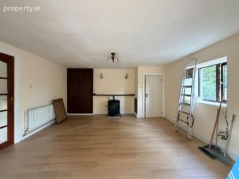 Inch, Stradbally, Vicarstown, Co. Laois - Image 5