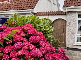 9 Rosewood Drive, Mount Pleasant, Waterford, Grantstown, Co. Waterford - Image 4