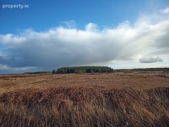 Shragh, Kilrush, Co. Clare - Image 2