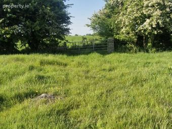 Cloonulty, Ballydangan, Athlone, Co. Roscommon