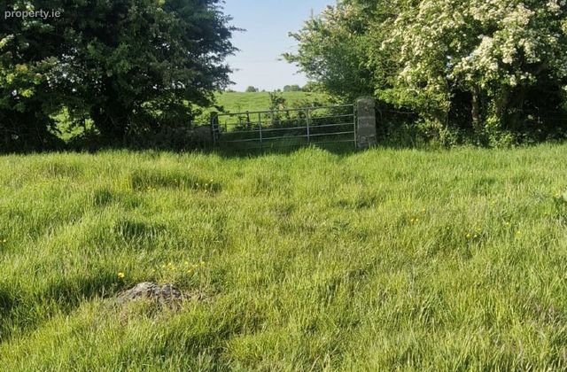 Cloonulty, Ballydangan, Athlone, Co. Roscommon - Click to view photos