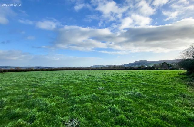 Mileshogue, Camolin, Gorey, Co. Wexford - Click to view photos
