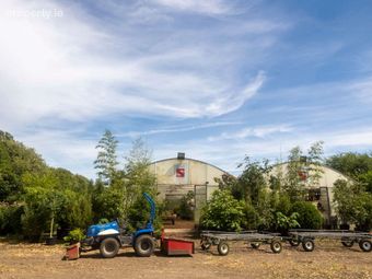 Stams Bamboo Nursery Ltd., Ballinwillin, Lismore, Co. Waterford - Image 2
