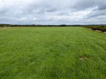 Lands Of C. 25.50 Acres At Derryharney, Belmont, Co. Offaly - Image 5