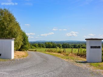 Farm At Newtown - Entire, Bonnettstown, Co. Kilkenny, Tullaroan, Co. Kilkenny - Image 4