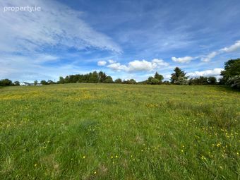 Site At Ballycorrigan, Ballina, Co. Tipperary - Image 4