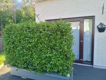 Beechlawns, Dublin Road, Mullingar, Co. Westmea, Mullingar, Co. Westmeath - Image 2