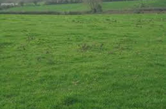 Co,kilkenny, Cuffesgrange, Co. Kilkenny - Click to view photos