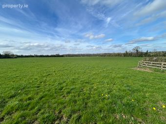 Lot 2: C. 26.93 Acres, Gormanstown, Kilcullen, Co. Kildare, Kilcullen, Co. Kildare - Image 3