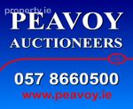 Peavoy Auctioneers