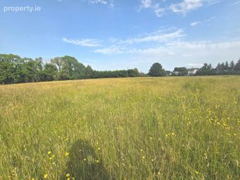 C. 4.16 Acres, Williamstown, Co. Galway, Williamstown, Co. Galway - Image 4