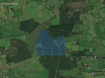 Ballycoony, Kilchreest, Loughrea, Co. Galway - Image 2