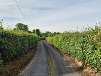 Rosenallis, Rosenallis, Co. Laois - Image 3