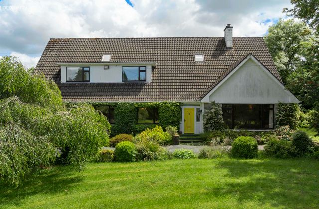 Papion, Tinnaranny, Rosbercon, New Ross, Co. Kilkenny - Click to view photos