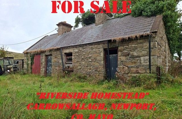 Carrowsallagh, Newport, Co. Mayo, Newport, Co. Mayo - Click to view photos