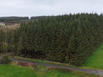 Glenastar, Ardagh, Co. Limerick