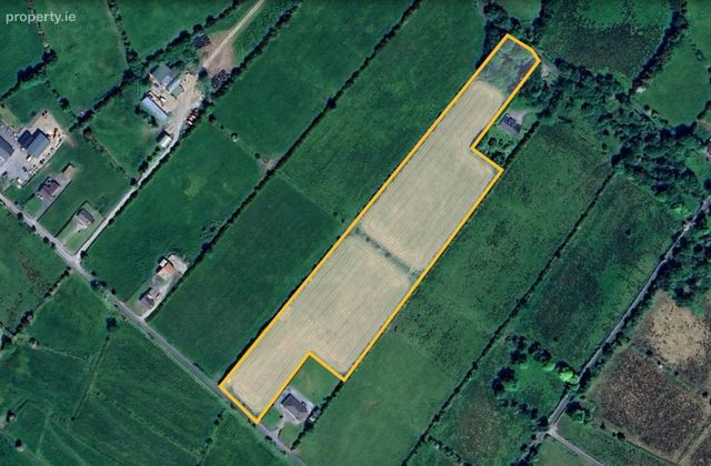 Mountdelvin, Cloonfad, Co. Roscommon - Click to view photos