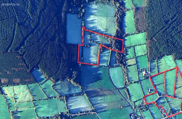 Shronebeha, Banteer, Co. Cork - Click to view photos