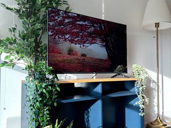Weavers Hall, Levmoss Park, The Gal, Leopardstown, Dublin 18 - Image 2