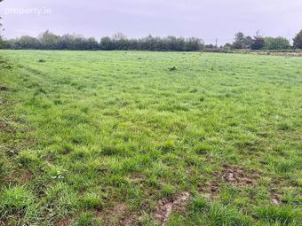 Doonane, Crettyard, Co. Laois - Image 3