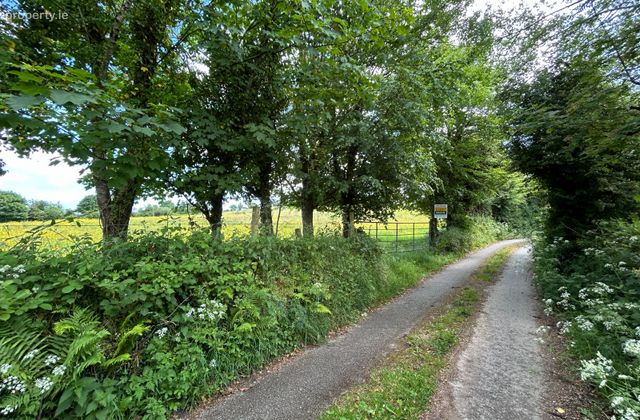 Site At Ballycorrigan, Ballina, Co. Tipperary - Click to view photos