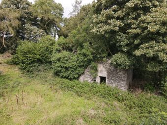 Lot 2 : Derelict Building Raffony &amp; Land, Raffony, Virginia, Co. Cavan, Virginia, Co. Cavan - Image 5