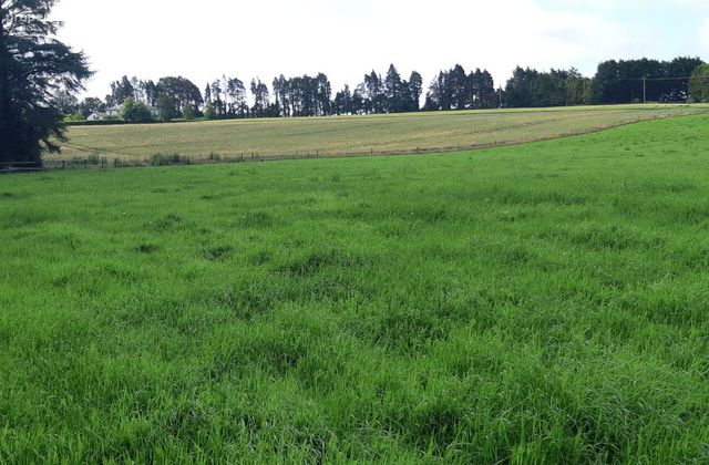 Dunkereen, Innishannon, Co. Cork - Click to view photos