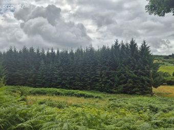 Scurlocksleap, Blessington, Co. Wicklow - Image 5