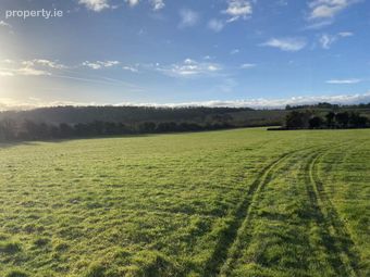 Circa 13.5 Acres At, Garrinch, Jesuits Walk, Fethard, Co. Tipperary, Fethard, Co. Tipperary - Image 4