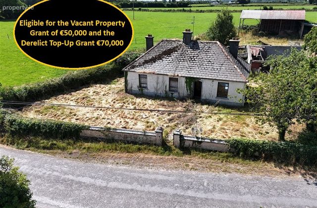 Coolowley, Errill, Co. Laois - Click to view photos