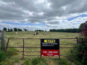 Earlspark, Ballinasloe, Ballydangan, Co. Roscommon - Image 2