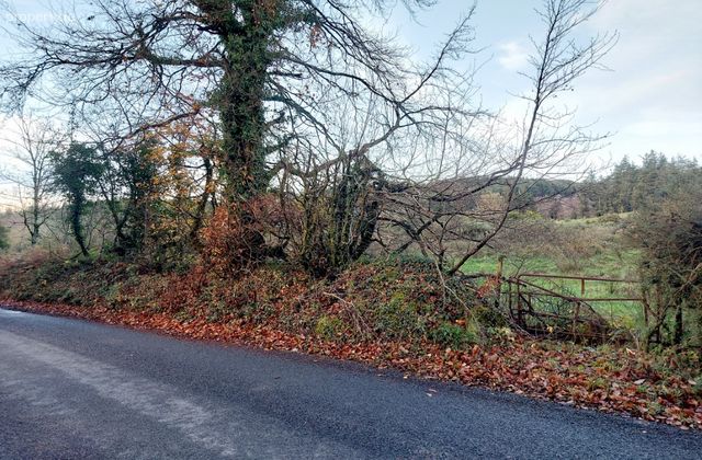 Cooleycasey, Sixmilebridge, Co. Clare - Click to view photos