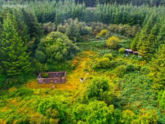 Derelict Cottage At Cloghvoolia, Killavullen, Mallow, Co. Cork - Image 5