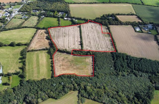 C. 21.36 Acres Holding At Tullycanna, Ballymitty, Co. Wexford - Click to view photos